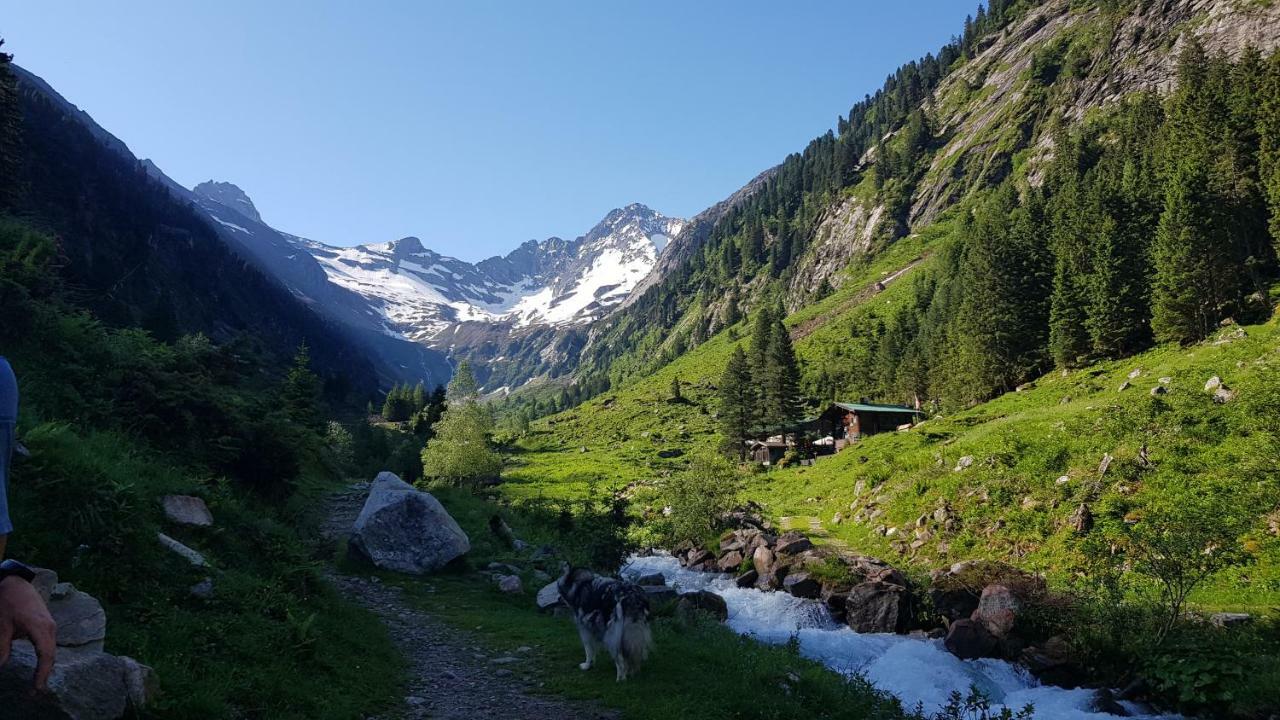 Eberl'S Zirbenlodge 金兹灵 外观 照片